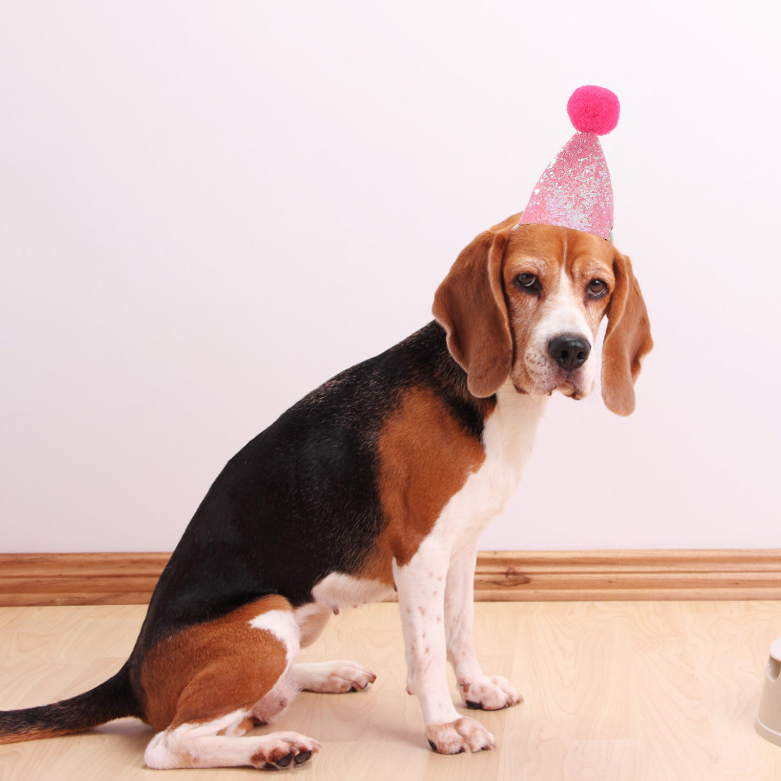 10Pcs Pet Birthday Party Hat f - Party Hat Cone ulasan dan harga