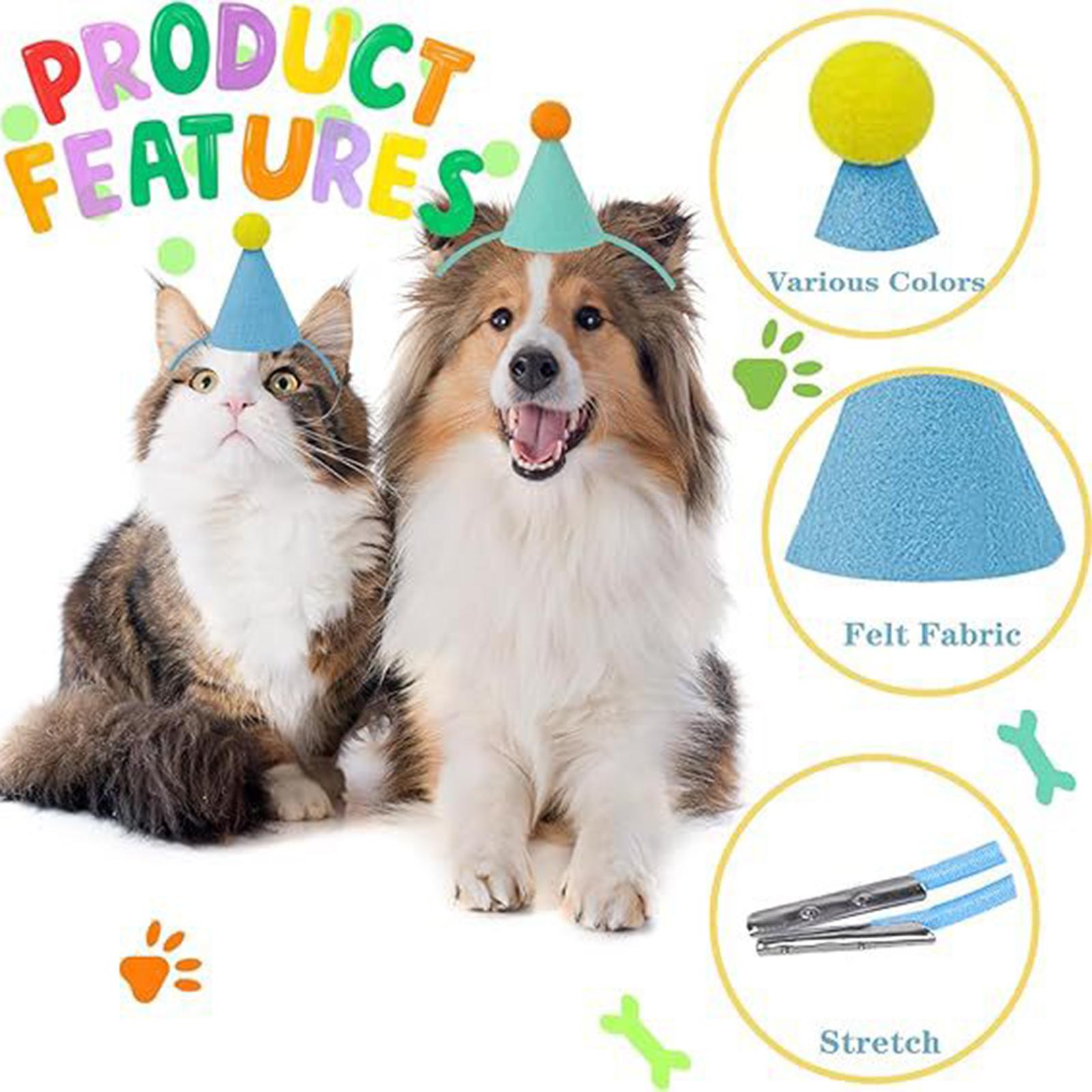 6 Pieces Mini Pet Party Hats M - Party Hat Cone ulasan dan harga